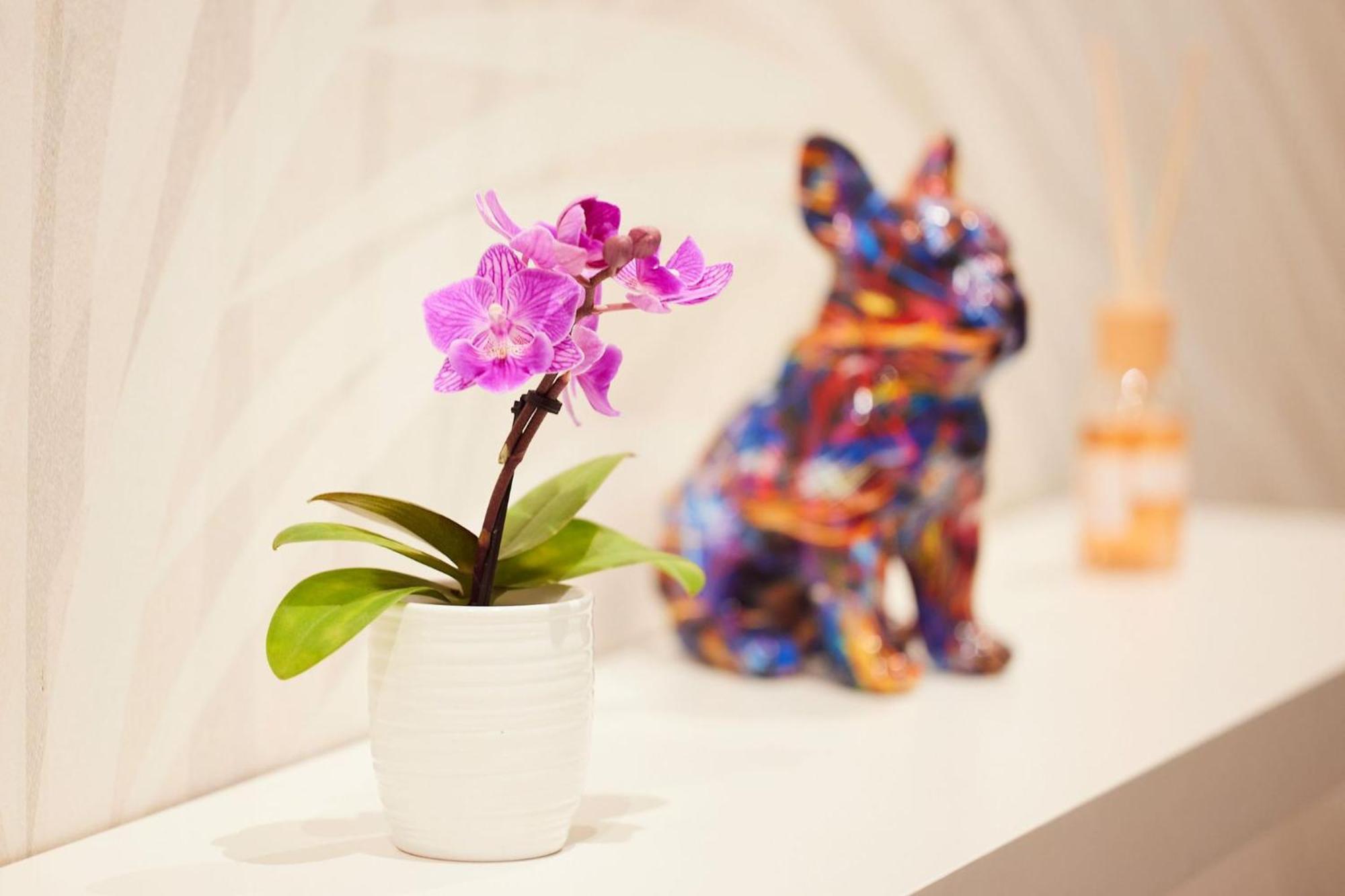 Sant'Ambrogio Charme Apartment ミラノ エクステリア 写真